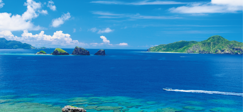 コンテンツ豊富な オリジナルカレンダー