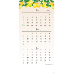 NA-142　Nature Three Months（ネイチャースリーマンス）［リューアル］