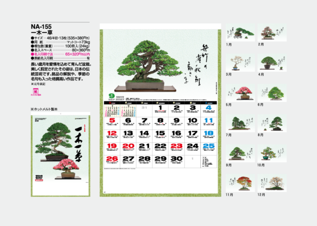 NA-155　一木一草