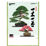 NA-155　一木一草