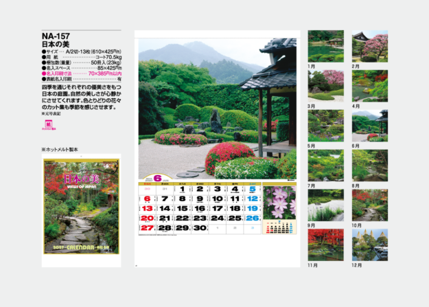 NA-157　日本の美
